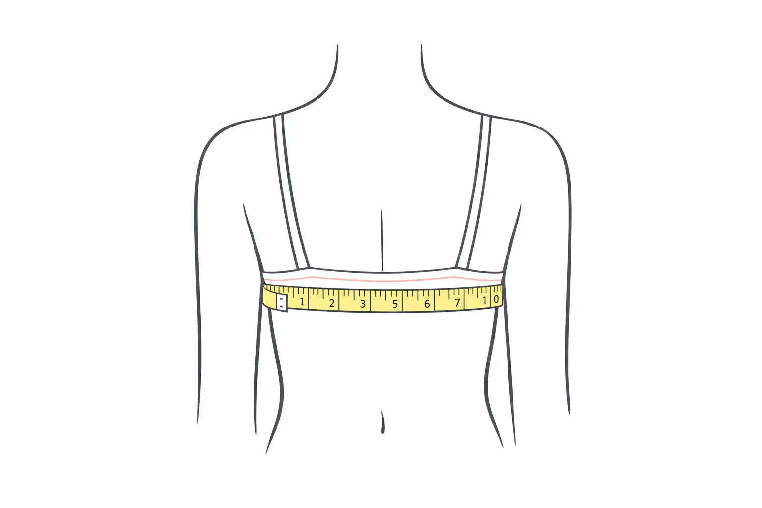 Back view showing bra measuring tape level across the back without riding up between the shoulder blades