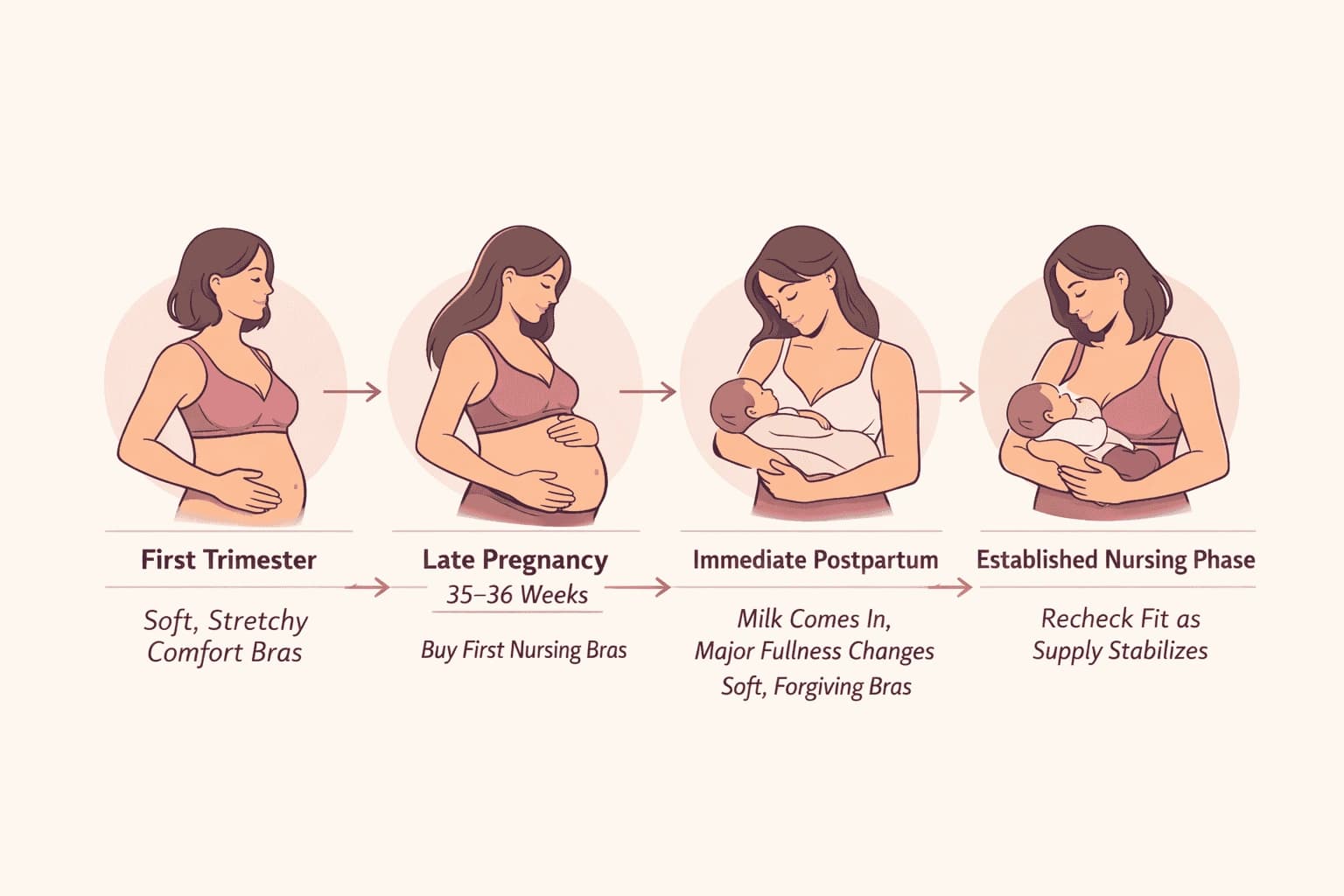 Timeline showing maternity and nursing bra needs from early pregnancy to postpartum