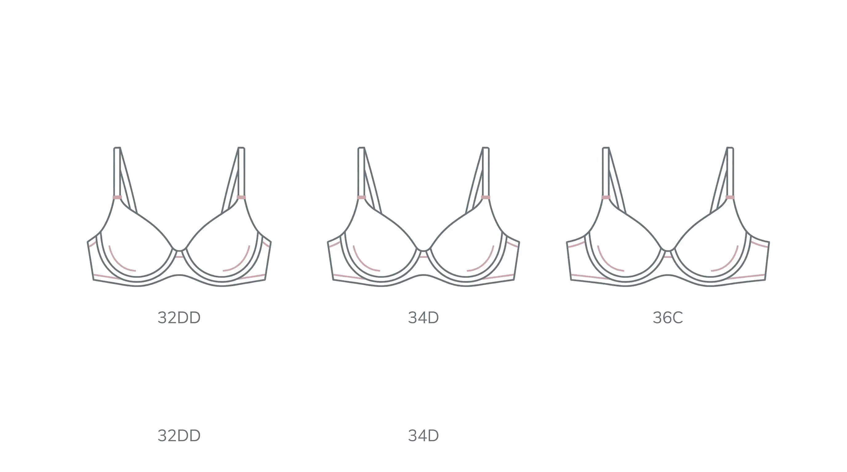 Line art diagram showing three sister sizes 32DD, 34D, and 36C where cup volume stays similar while band length changes